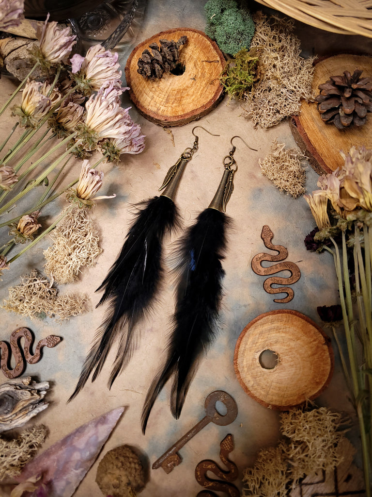 Midnight Black Feather Earrings