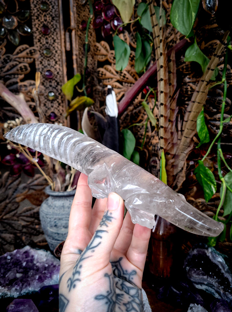 Quartz Crystal Alligators