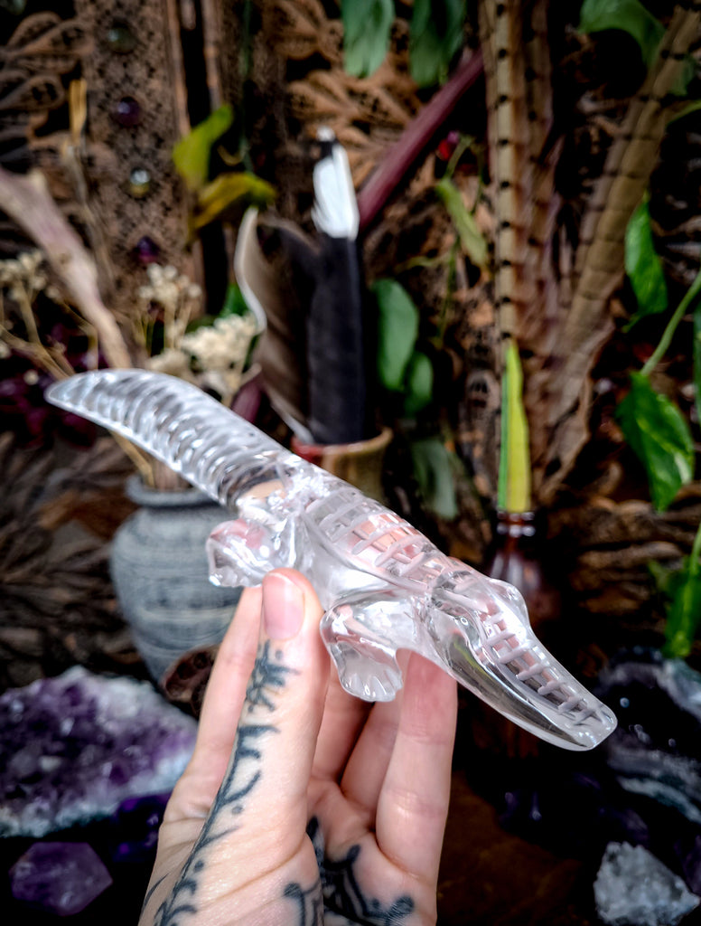 Quartz Crystal Alligators
