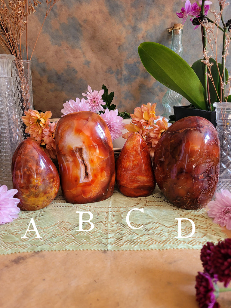 Carnelian Polished Free Form Crystals