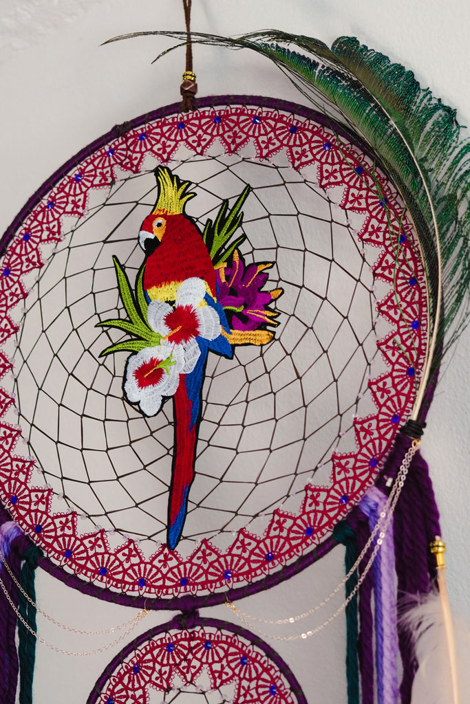 Parrot Paradise Mandala Dreamer