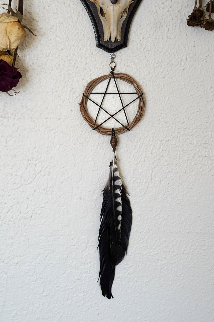 Beatrix Pentacle Star Roe Deer Skull Mount