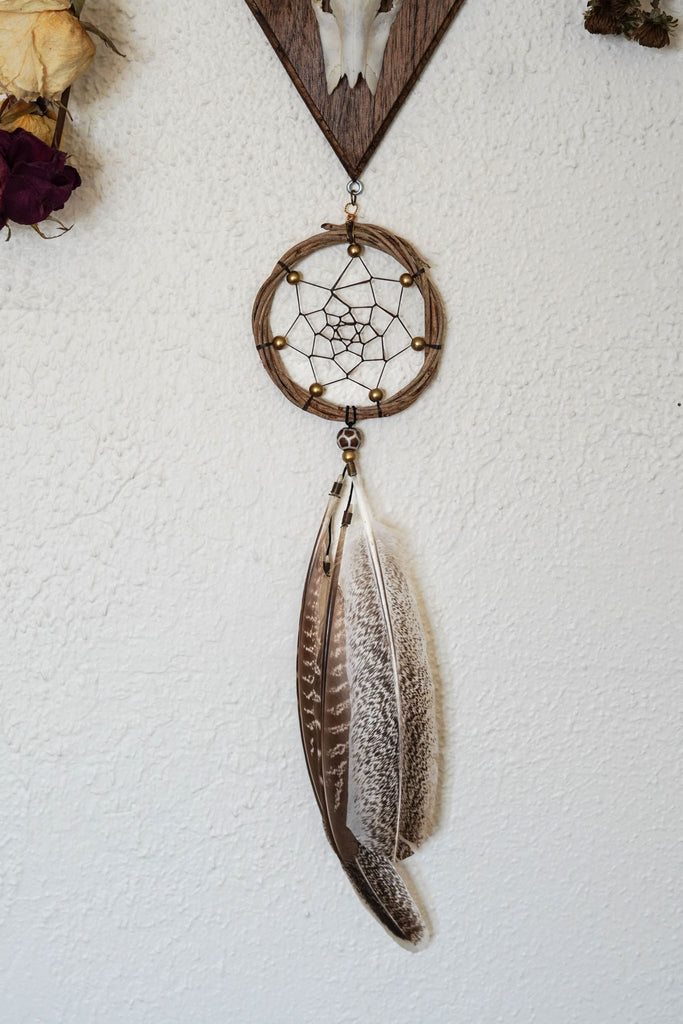Aurora Roe Deer Skull Mount