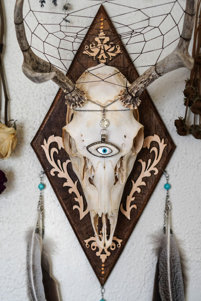 Theia Large Deer Skull Mount