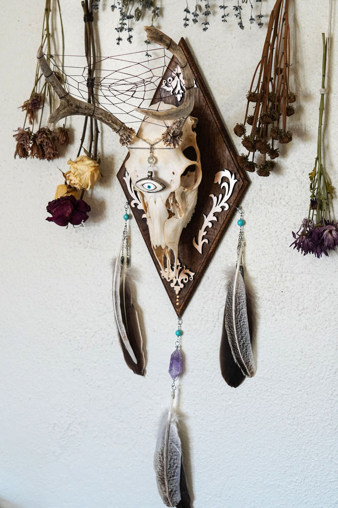 Theia Large Deer Skull Mount