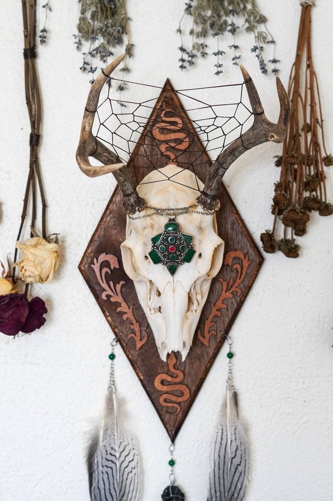 Medusa Large Deer Skull Mount