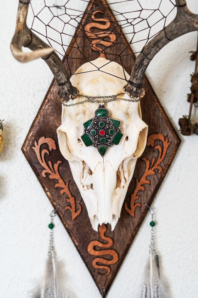 Medusa Large Deer Skull Mount
