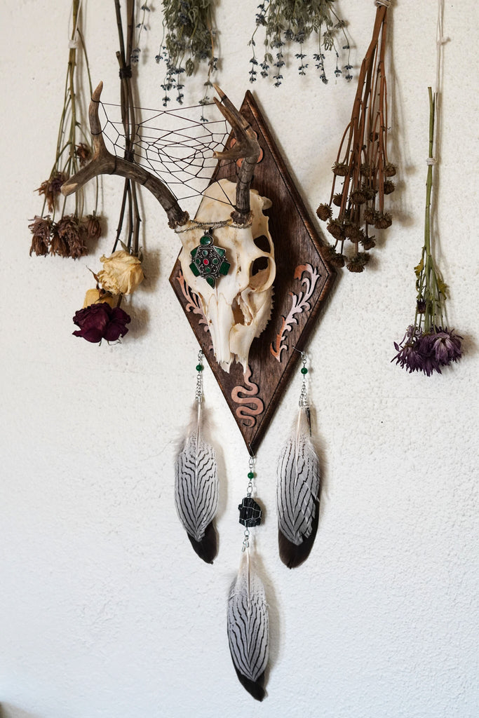 Medusa Large Deer Skull Mount