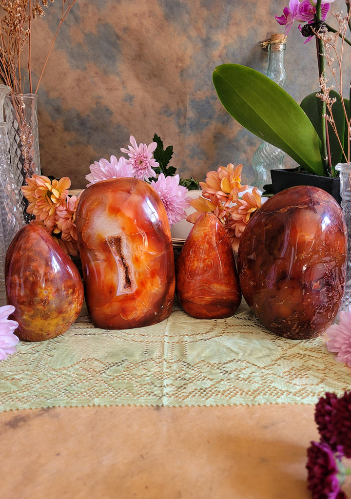 Carnelian Polished Free Form Crystals