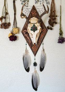 Medusa Large Deer Skull Mount