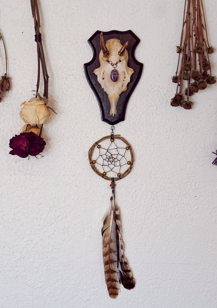 Merlin Roe Deer Skull Mount