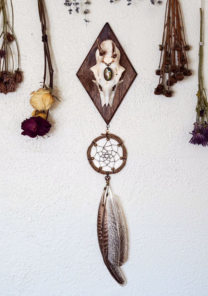 Aurora Roe Deer Skull Mount