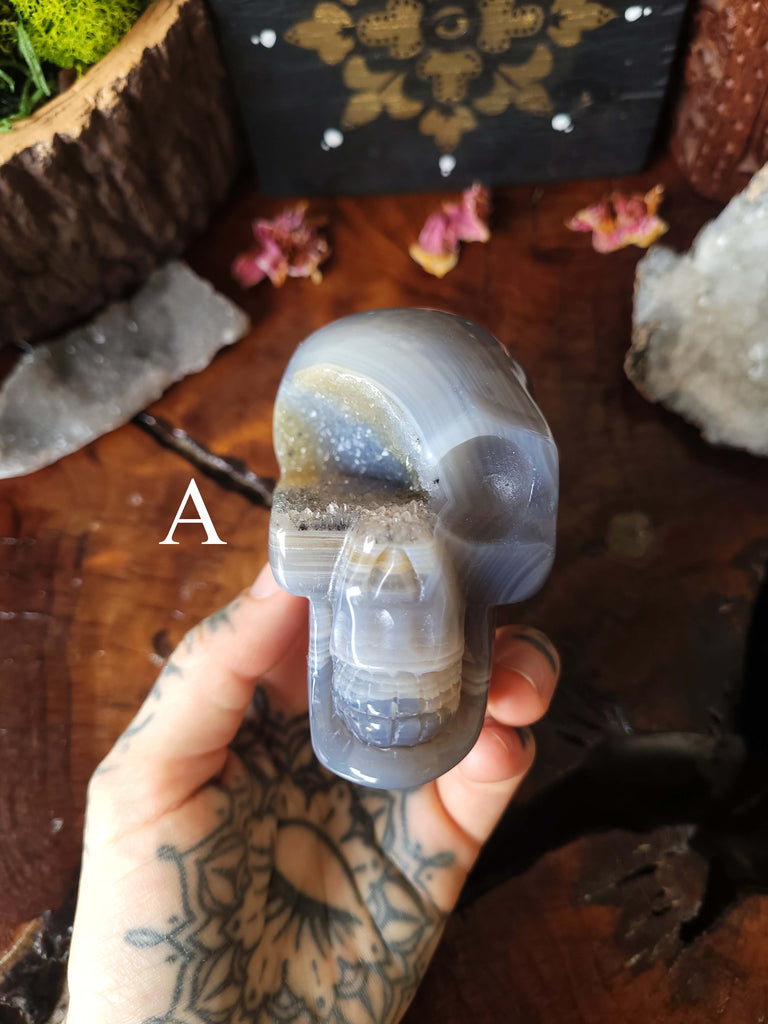 Agate Druzy Crystal Skulls