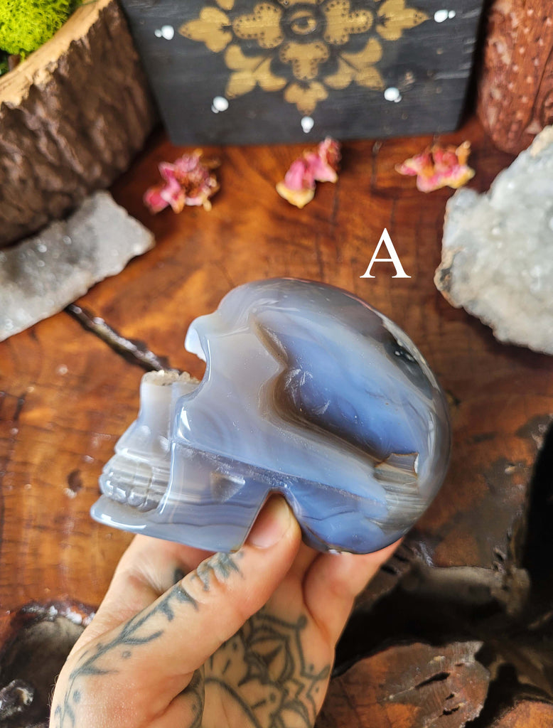 Agate Druzy Crystal Skulls