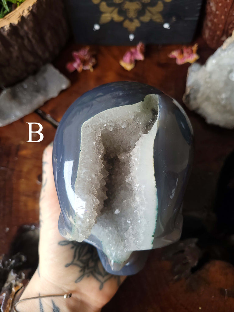 Agate Druzy Crystal Skulls