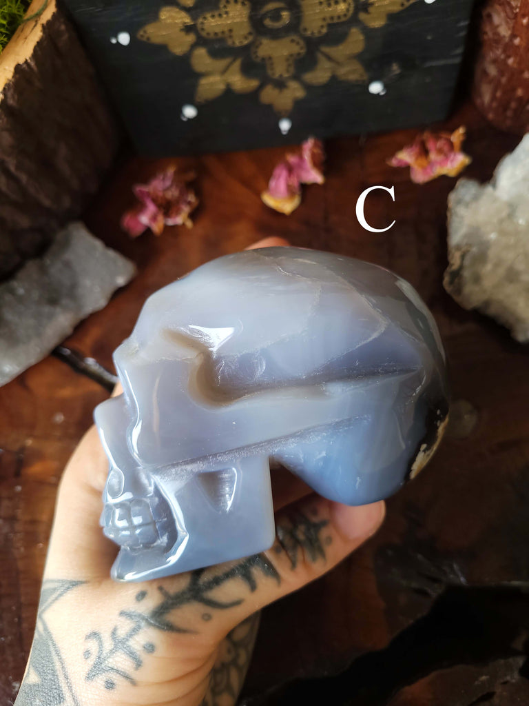 Agate Druzy Crystal Skulls