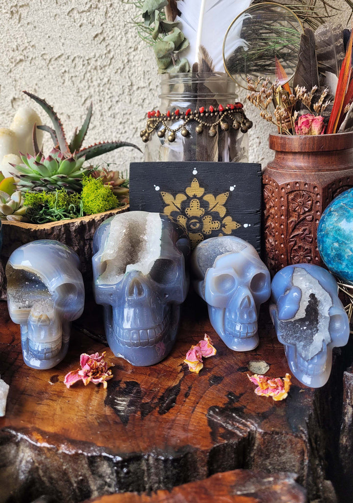 Agate Druzy Crystal Skulls