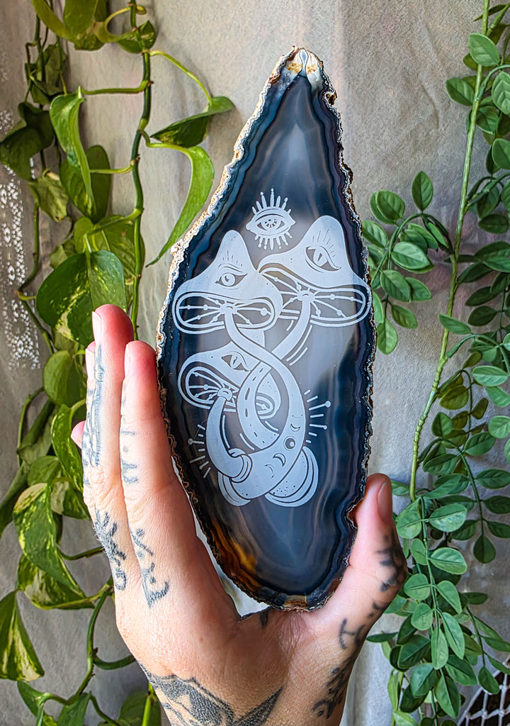 Funky Fungi Agate Slice Crystal