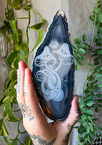Funky Fungi Agate Slice Crystal