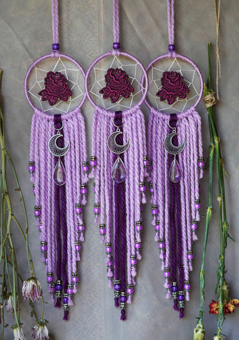 Plum Rose Sweet Dreamers