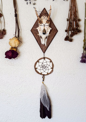 Willow Roe Deer Skull Mount
