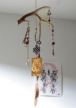 The World Tarot Card Dream Antler